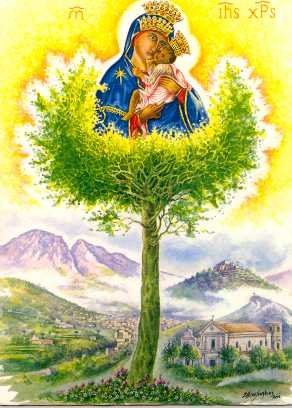 Immagine antica Madonna dell'Olmo 4)